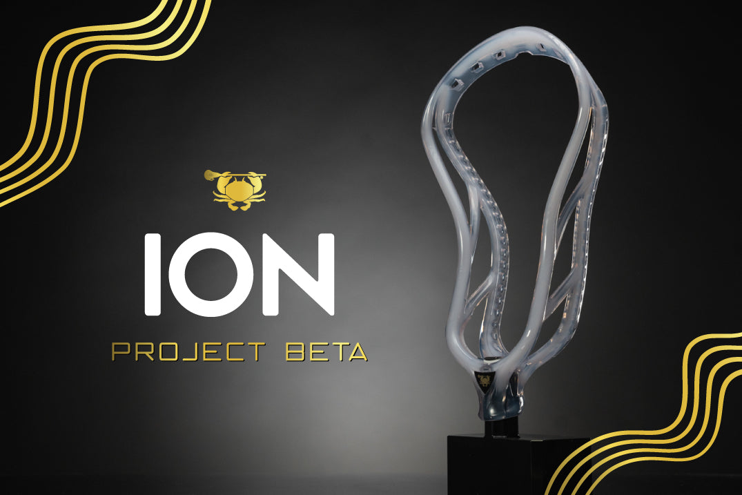 Introducing the Ion Beta