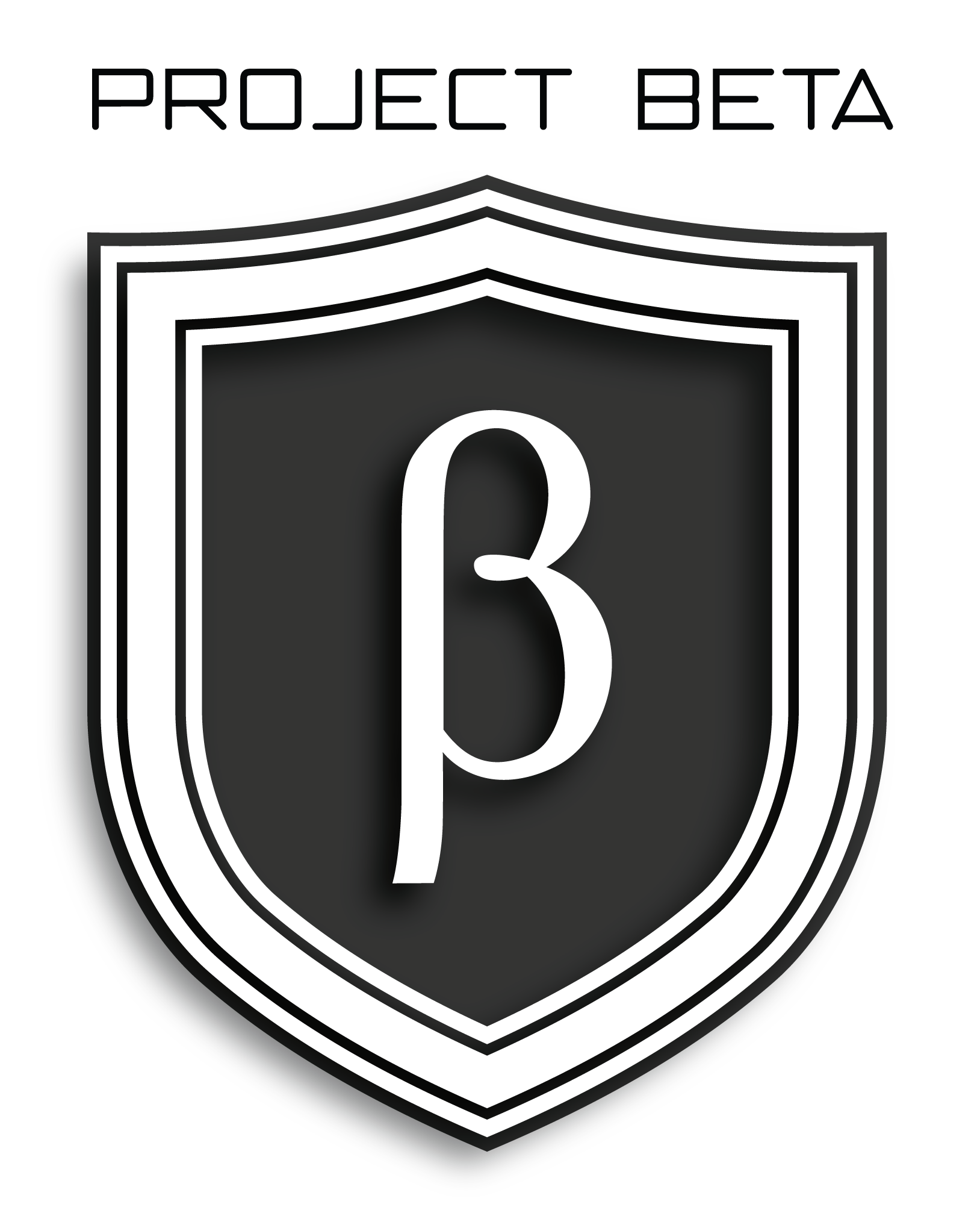 Project-Beta.png__PID:9eada827-a2c7-4608-a99a-c79112977824